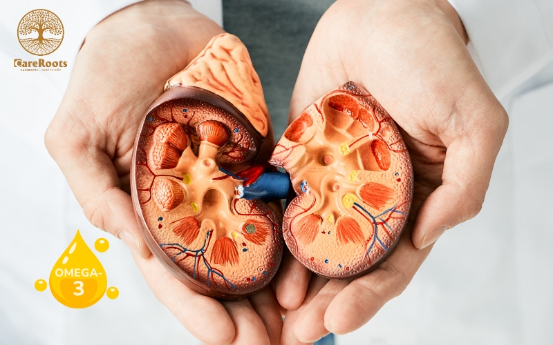 Omega3 Có Thể Bảo Vệ Thận Khỏi Suy Yếu? Khám Phá Sự Thật Gây Xôn Xao